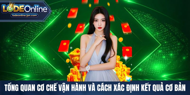 Tổng quan cơ chế vận hành và cách xác định kết quả cơ bản
